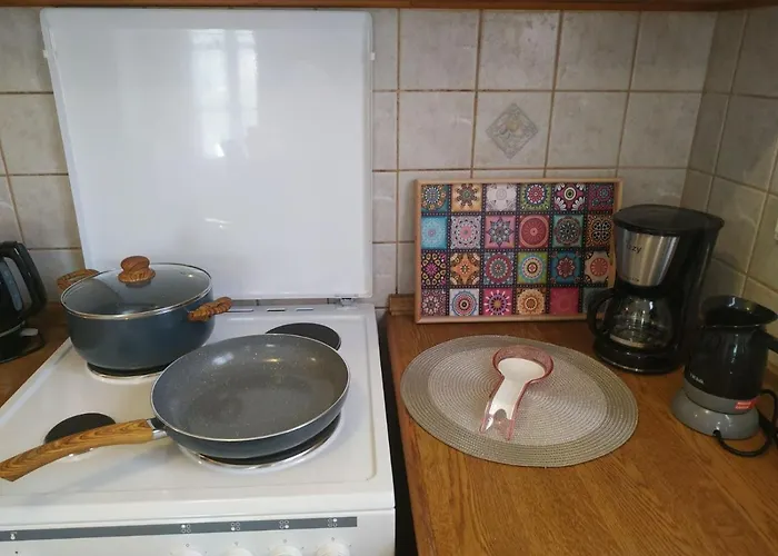 Anemone Rose - Chora Center