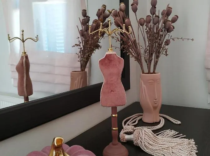 Anemone Rose - Chora Center Διαμέρισμα Άνδρος