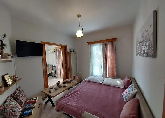 Anemone Rose - Chora Center