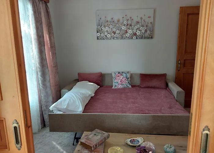 Anemone Rose - Chora Center *