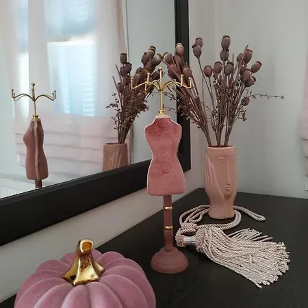 Anemone Rose - Chora Center Apartment Andros Town