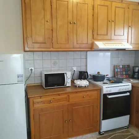 Apartment Anemone Rose - 200m From Chora Centre
