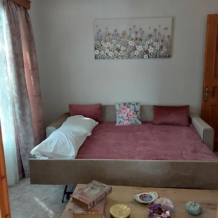 Anemone Rose - Chora Center *